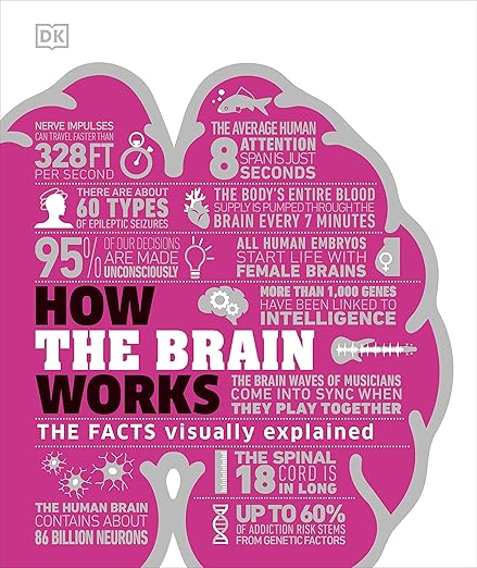 All About Brain